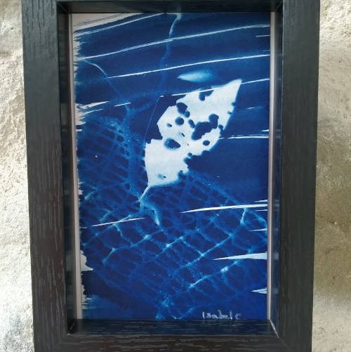 Fond'Océan Cyanotype sur papier